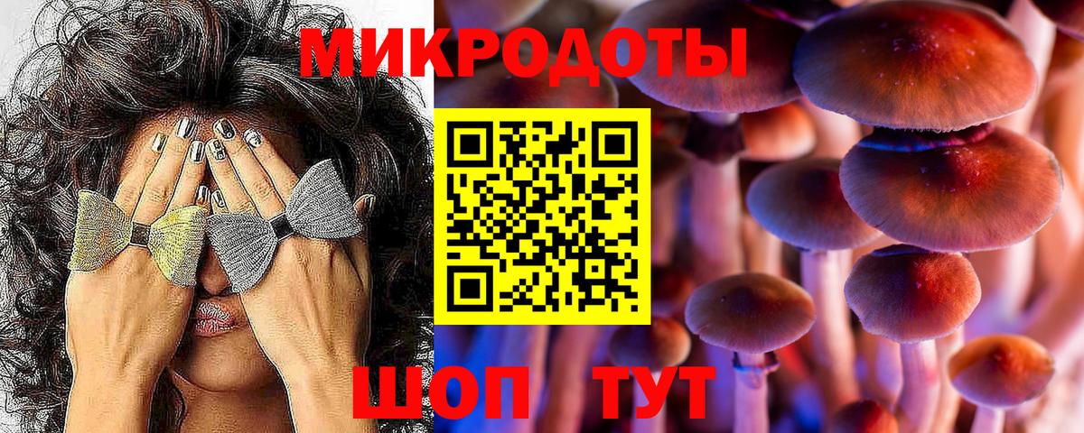 где продают   Псилоцибиновые грибы прущие грибы  Псилоцибиновые грибы мухоморы  Вход с VPN  Обнинск 